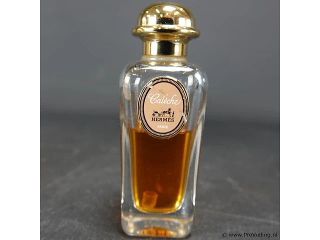 Caleche. hermes paris - afbeelding 2 van  5