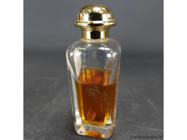 Caleche. hermes paris - afbeelding 3 van  5
