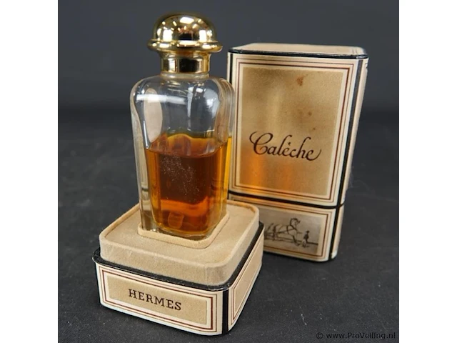 Caleche. hermes paris - afbeelding 4 van  5