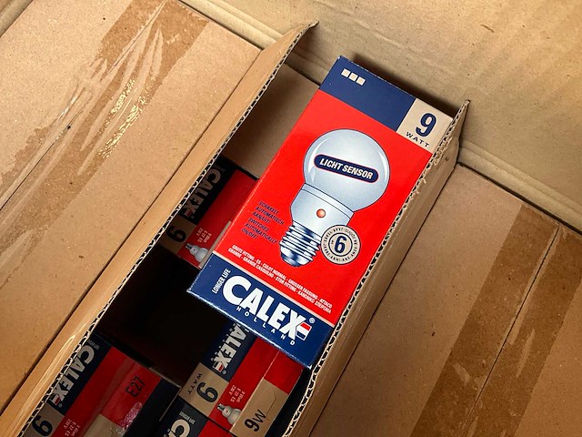 Calex - mini globe - spaarlamp - lamp e27 fitting (90x) - afbeelding 4 van  7