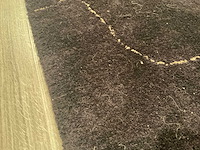 Calligaris vloerkleed - afbeelding 8 van  10