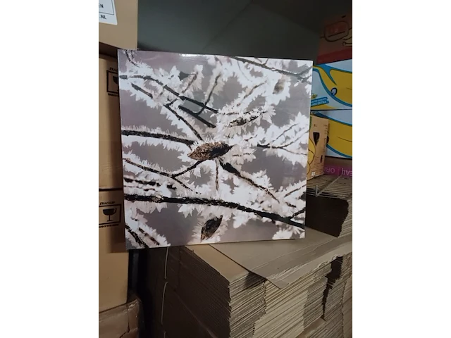 Canvas 50x50 10 stuks - afbeelding 2 van  3