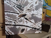 Canvas 50x50 5 stuks - afbeelding 3 van  3