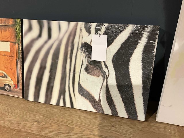Canvas (6x) - afbeelding 6 van  8
