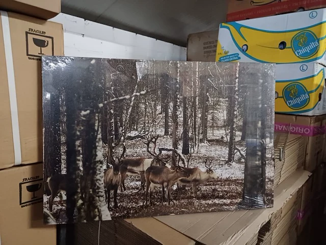 Canvas met licht 60x40 model eland 2x - afbeelding 2 van  3