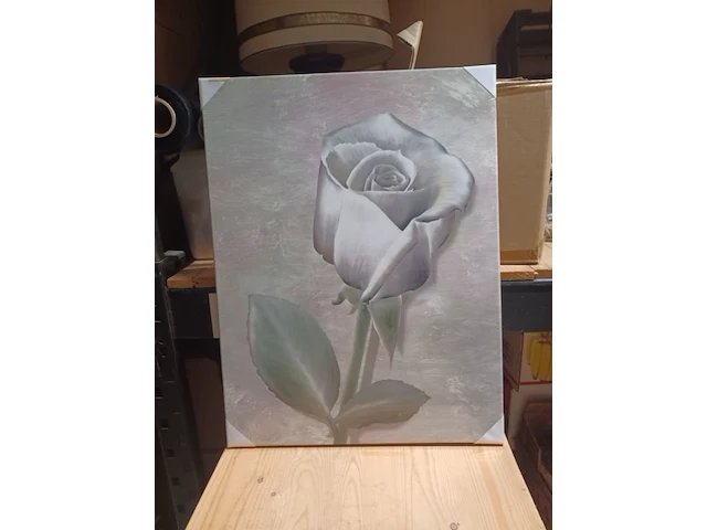Canvas roos wit in knop en in bloei 47x62cm aantal 32 stuks. - afbeelding 1 van  5