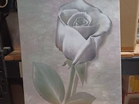 Canvas roos wit in knop en in bloei 47x62cm aantal 32 stuks. - afbeelding 1 van  5
