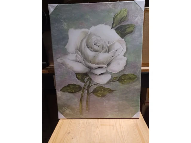 Canvas roos wit in knop en in bloei 47x62cm aantal 32 stuks. - afbeelding 3 van  5