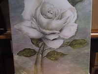 Canvas roos wit in knop en in bloei 47x62cm aantal 32 stuks. - afbeelding 3 van  5
