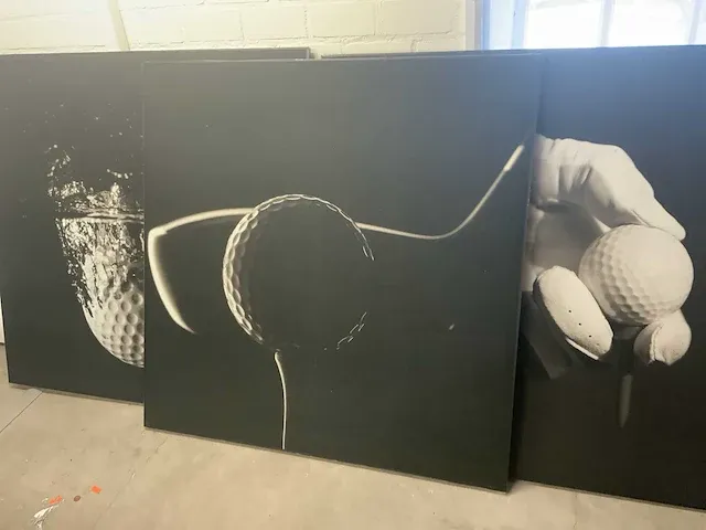 Canvas wanddecoratie (4x) - afbeelding 3 van  5