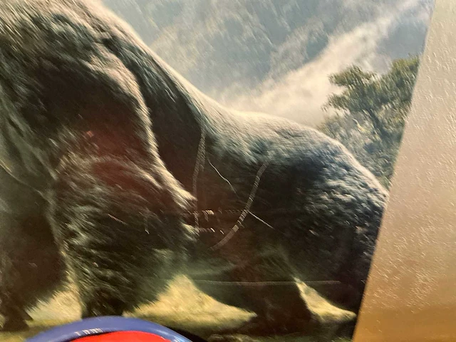 Canvas wanddecoratie kingkong - afbeelding 3 van  6