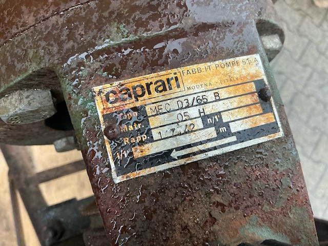 Caprari beregeningspomp (3x) - afbeelding 2 van  15