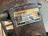 Caprari beregeningspomp (3x) - afbeelding 2 van  15