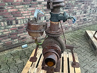 Caprari beregeningspomp (3x) - afbeelding 9 van  15