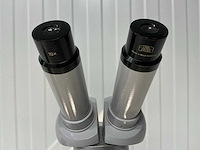 Carl zeiss - stereo microscope - afbeelding 2 van  4