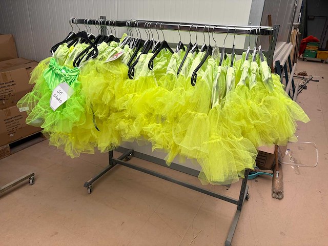 Carnavals kostuum ballerina jurk (35x) - afbeelding 1 van  3