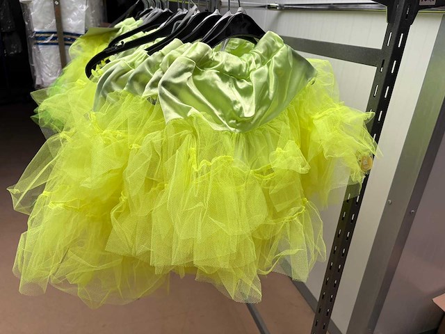 Carnavals kostuum ballerina jurk (35x) - afbeelding 3 van  3