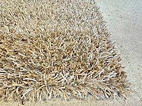 Carpetrebel - porto - tapijt beige - afbeelding 1 van  4