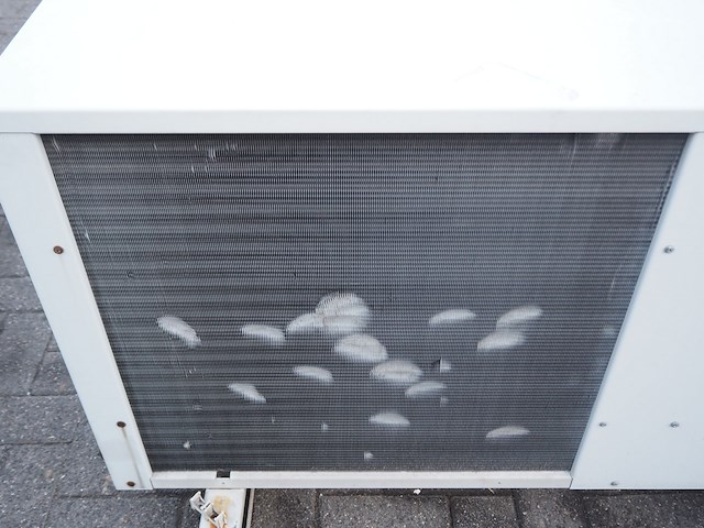 Carrier - afbeelding 8 van  11