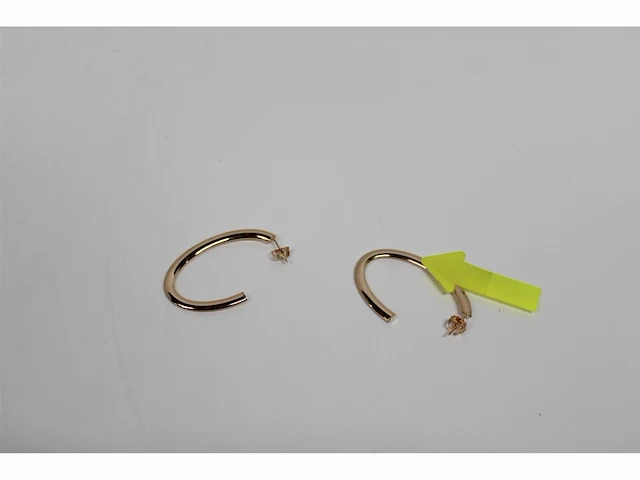 Casa jewelry oorhangers ellips zilver goud verguld - afbeelding 2 van  3