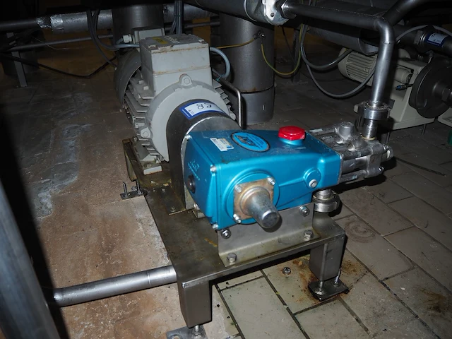 Cat pumps - afbeelding 1 van  5