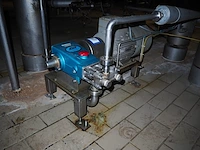 Cat pumps - afbeelding 2 van  5