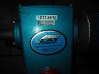 Cat pumps - afbeelding 5 van  5