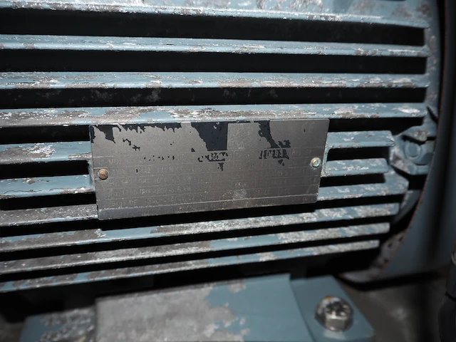 Cat pumps - afbeelding 7 van  16
