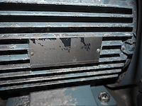 Cat pumps - afbeelding 7 van  16