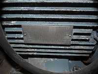 Cat pumps - afbeelding 8 van  16