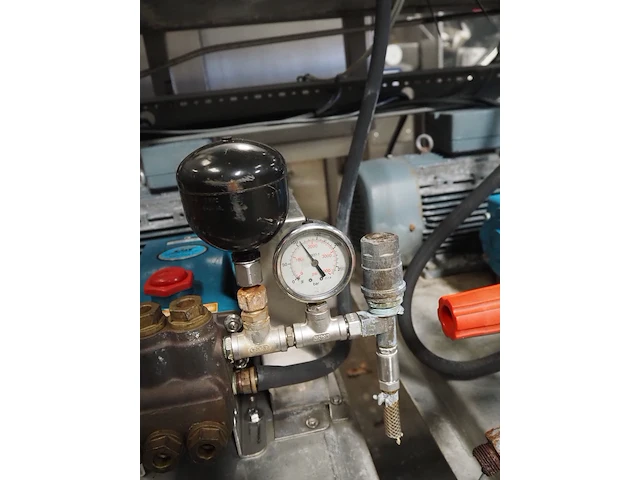 Cat pumps - afbeelding 14 van  16