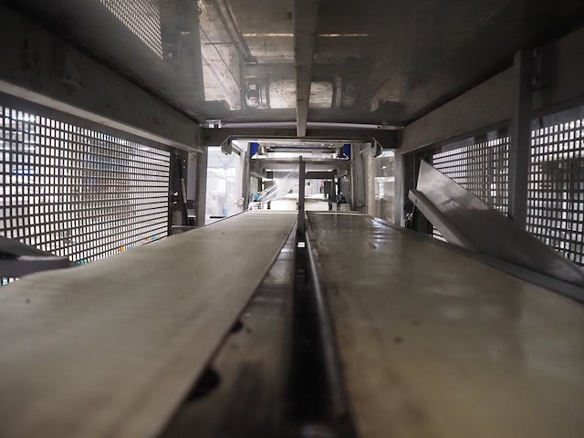 Cfs - afbeelding 55 van  56