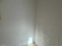 Chalet - afbeelding 15 van  27