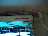 Chameleon - afbeelding 4 van  4