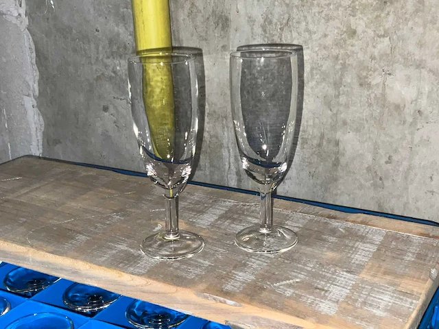 Champagne flute (294x) - afbeelding 1 van  2