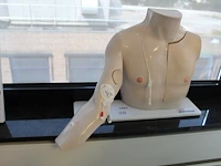 Chester chest vata type 2400 met draagtas - afbeelding 1 van  2