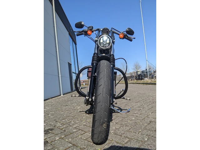 Chopper harley davidson, xl 883 sportster iron, bouwjaar 2012 - afbeelding 39 van  63