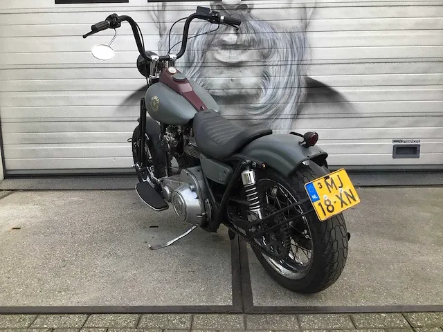 Chopper tourmotor - afbeelding 17 van  21