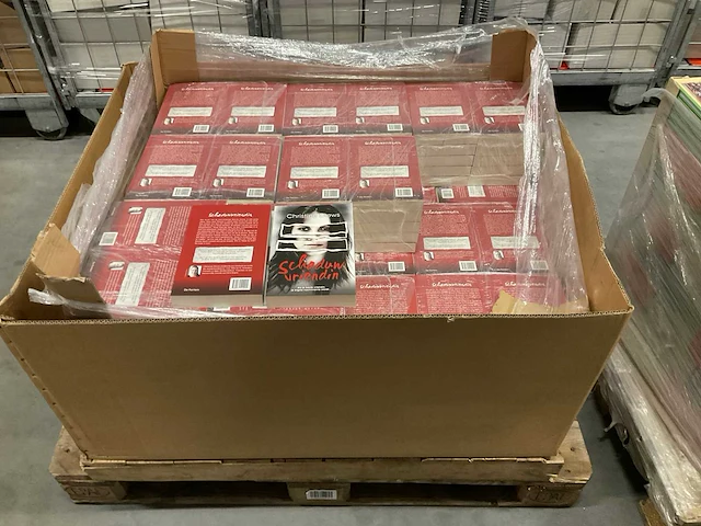 Christine drews schaduw vriendin boeken (272x) - afbeelding 1 van  2