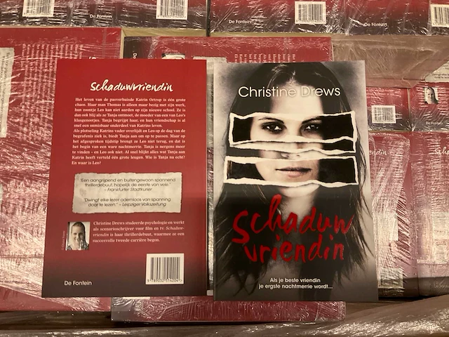 Christine drews schaduw vriendin boeken (272x) - afbeelding 2 van  2