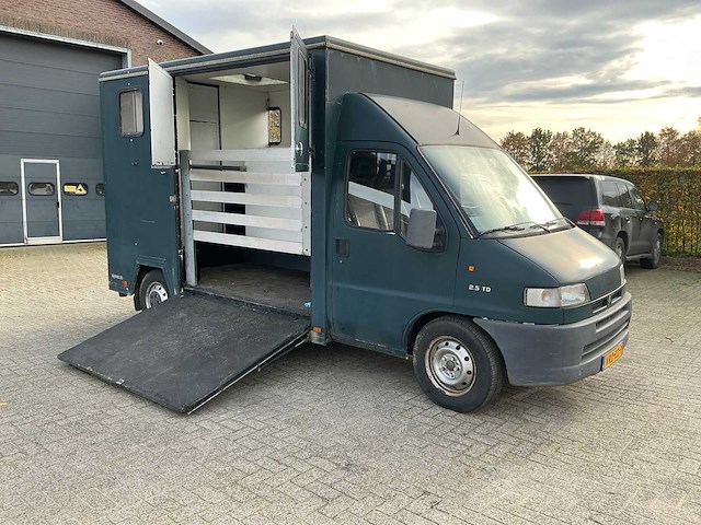 Citroen 2.5 td paardenwagen - afbeelding 11 van  15
