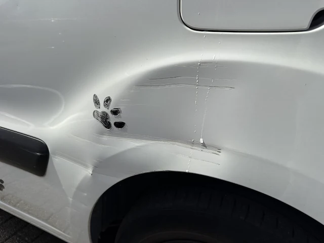 Citroen berlingo,2014 - afbeelding 22 van  30