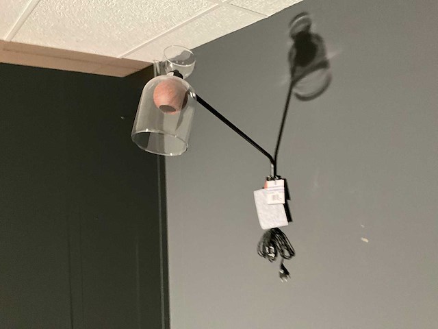 Coco & maison wandlamp - afbeelding 1 van  6