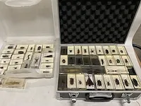 Collectie insecten (21 soorten) incl. verzamelcase circa (4500x) - afbeelding 3 van  6