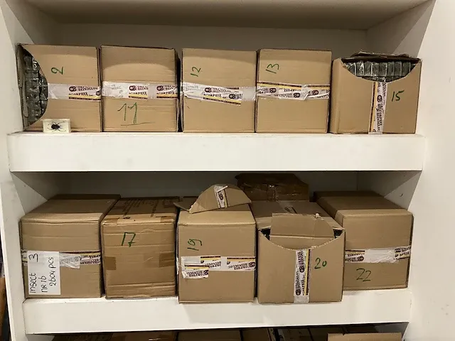 Collectie insecten (21 soorten) incl. verzamelcase circa (4500x) - afbeelding 4 van  6