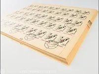 Collectie postzegelvellen/blokken roemenië - afbeelding 8 van  16