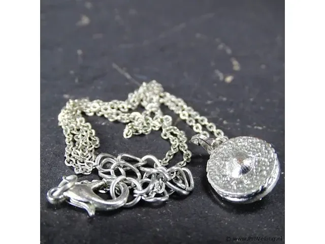 Collier met hanger - afbeelding 3 van  3
