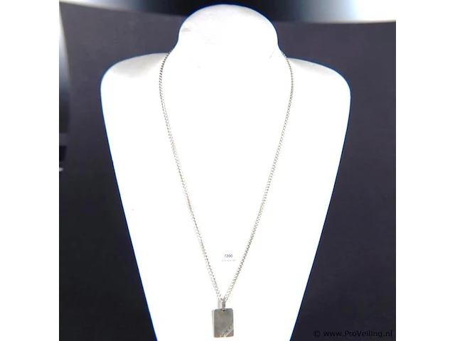 Collier met hanger - afbeelding 1 van  3