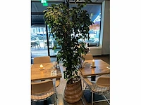 Combinatie kavel 3,87,88,89 horeca meubilair / apparatuur - afbeelding 2 van  29