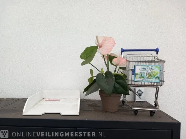Combinatiekavel van kavel: 22 en 23 - afbeelding 4 van  24